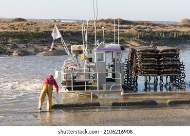 Oyster farmer lands tables of oysters ready for processing.
Ile d'Oleron, Charente-Maritime, France. January 13, 2022