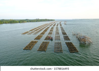 Oyster farming and oyster traps, floating mesh bags, along the sea in Chantaburi , Thailand