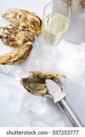Oyster and knife, ice, champagne glass