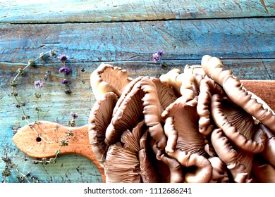 The Oyster Mushroom On Blue Wood