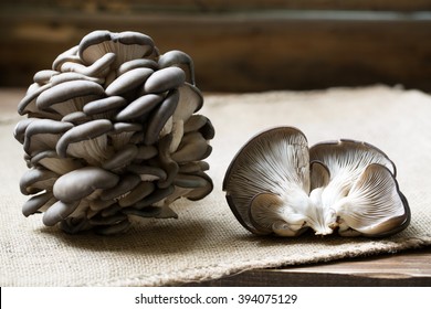 Oyster Mushrooms