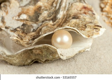 Oyster On A Sandy Beach With One Large Pearl In It