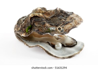 Oyster With Pearl