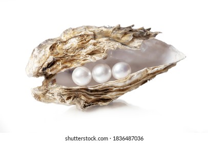 57,262 Shell pearls Images, Stock Photos & Vectors | Shutterstock