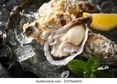 Oyster platter on Japanese plate (close up)
