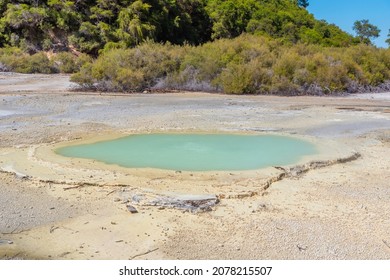 Oyster Pool At Wai-O-Tapu In New Zealand