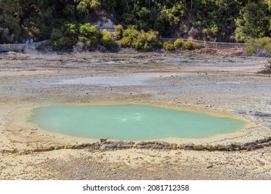 Oyster Pool At Wai-O-Tapu In New Zealand