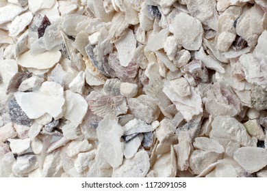 Oyster Shell, Oyster Shell Crushed