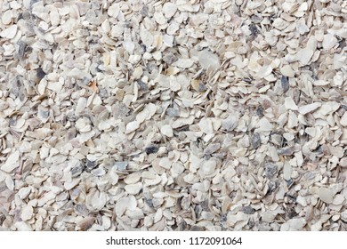 Oyster Shell, Oyster Shell Crushed