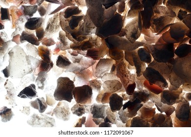 Oyster Shell, Oyster Shell Crushed