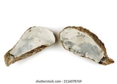 The oyster shell is empty