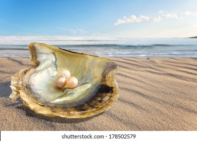  Oyster With Three Pearls On The Beach