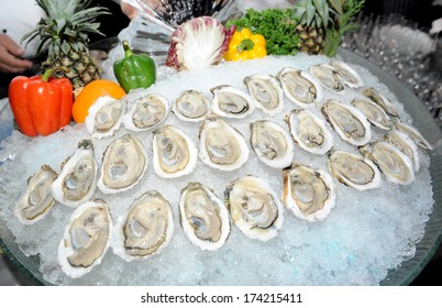 Oysters