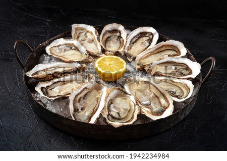Oysters. A dozen of oysters on a copper platter