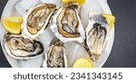 oysters fresh seafood healthy meal food snack on the table copy space food background rustic top view pescatarian diet