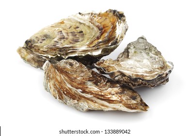 Oysters isolated on white background