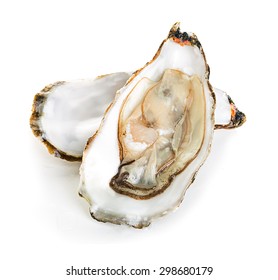 Oysters isolated on a white background