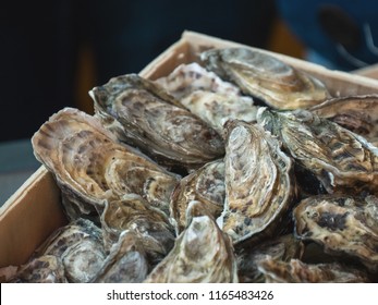 Oysters on the counter in wooden boxes on the market. Oysters for sale at the seafood market. Fish market stall full of fresh shell oysters. Fresh oysters selective focus. Close up shot.