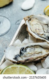 Oysters On The Half Shell. Fresh Oysters Served With Cocktail Sauce And Fresh Lemons. Oyster Dinner In Restaurant.