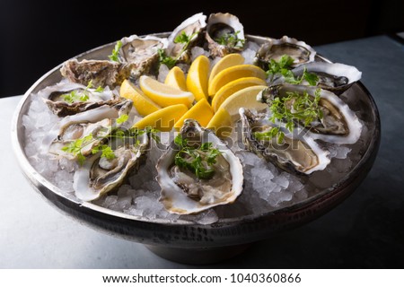 Oysters platter with lemon and ice served on a bar counter