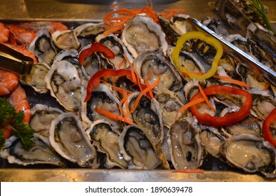 Oysters serving at buffet dinner
