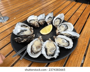 Oysters from Tasmania, Australia are so delicious that you can eat them in no time.