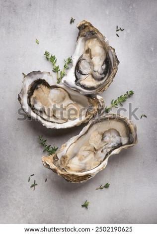 Oysters top view. Open fresh oysters on a gray table. Healthy sea food. French Oyster dinner in restaurant. Grey background. Seafood, Gourmet food. Flat lay. Vertical image