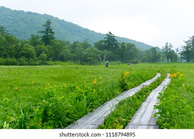 Oze Japan National Park