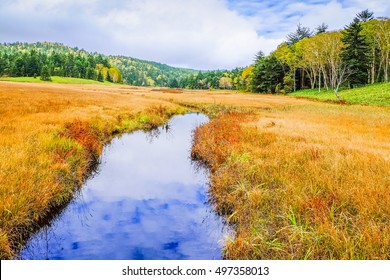 Oze National Park In Autumn