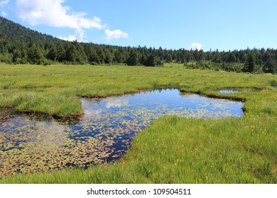 Oze National Park In Japan