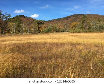 Oze National Park Japan