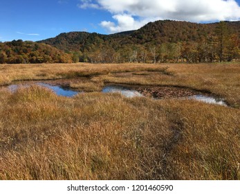 Oze National Park Japan