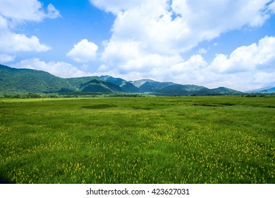 Oze National Park In Japan