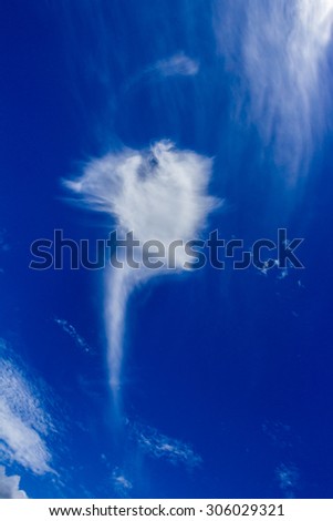 Similar – Image, Stock Photo Snow White