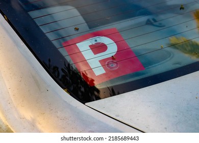 P Plate On Rear Car Window For Newly Licenced Car Driver