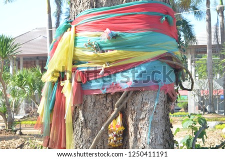 Pa Jed Si or 7 different colored fabric ropes,tied around old big tree to express respect to superspirituals posting in the gree and guarding surroundigna area, traditional belief of local Thai people