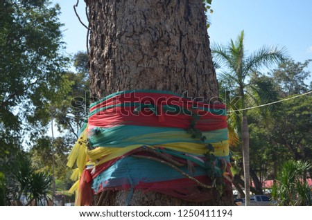 Pa Jed Si or 7 different colored fabric ropes,tied around old big tree to express respect to superspirituals posting in the gree and guarding surroundigna area, traditional belief of local Thai people