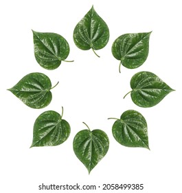 Paan Leaf Round Design With White Background