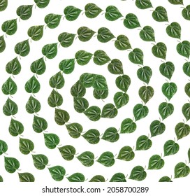 Paan leaf  texture Round design background