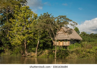 Pacaya Samiria Natural Reserve, Iquitos - Peru