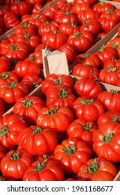Pachino Costoluto tomatoes are a specialty of sicilian food in Italy