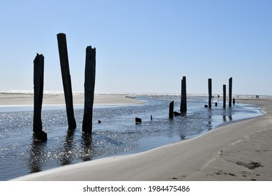 Pacific Beach State Park, WA