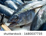 Pacific bigeye tuna at market