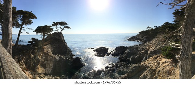 Pacific Coast Highway (The Lone Cypress)