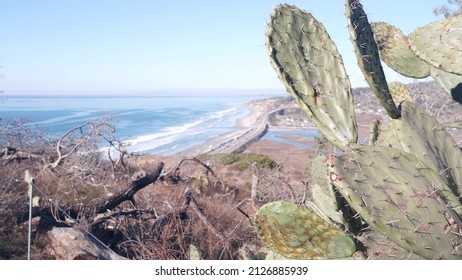 Pacific Coast Highway, Torrey Pines State Beach, Road 1 Or Freeway 101. Ocean Sea Waves From Above View. Overlook, Scenic Vista Point Or Viewpoint, Guy Fleming Tourist Trail. San Diego, California USA