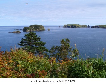 Pacific Coast Of Shikotan Island