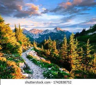 The Pacific Crest Trail Near Snoqualmie Pass.
Alpine Lakes Wilderness, Cascade Mountains, Washington, USA