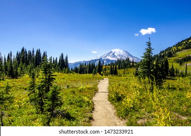 Pacific Crest Trail is one of the most famous trail in MT Rainier National Park of Washington state of US.