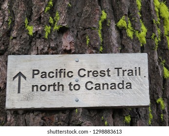 Pacific Crest Trail Sign On Tree