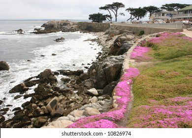 Pacific Grove